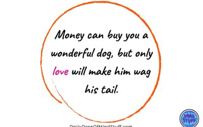 Inspirational Quote – Wonderful Dog