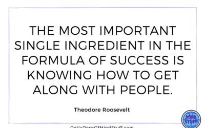 Inspirational Quote by Theodore Roosevelt